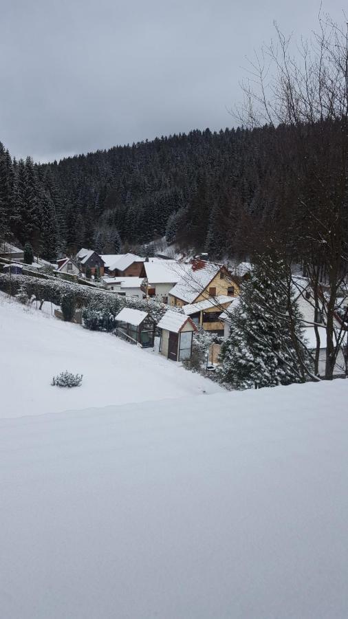 Monteurwohnung Aroba Fehrenbach ภายนอก รูปภาพ