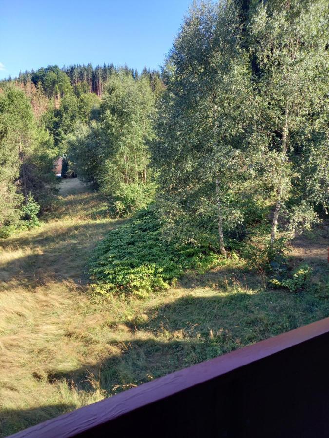 Monteurwohnung Aroba Fehrenbach ภายนอก รูปภาพ