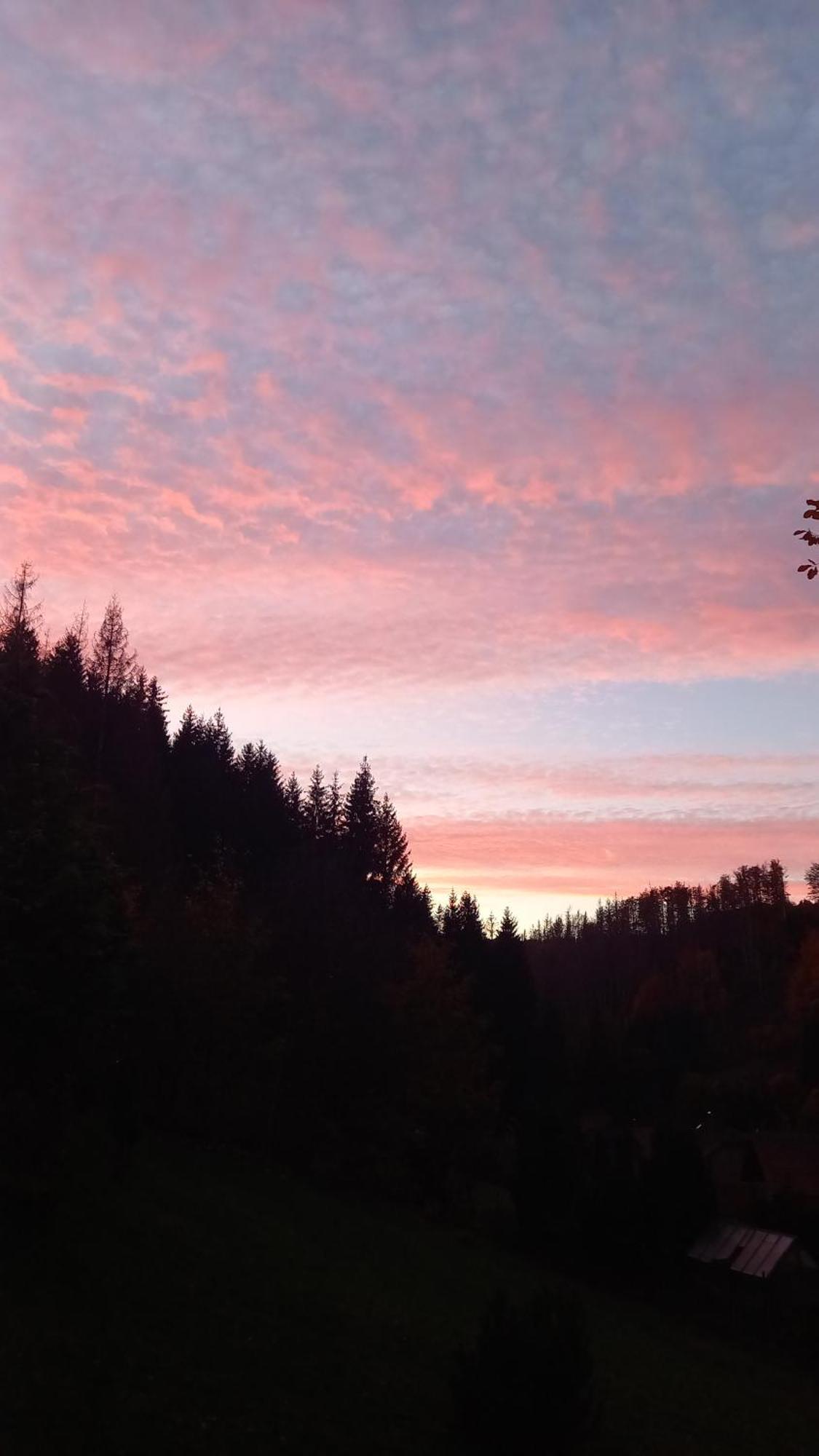 Monteurwohnung Aroba Fehrenbach ภายนอก รูปภาพ