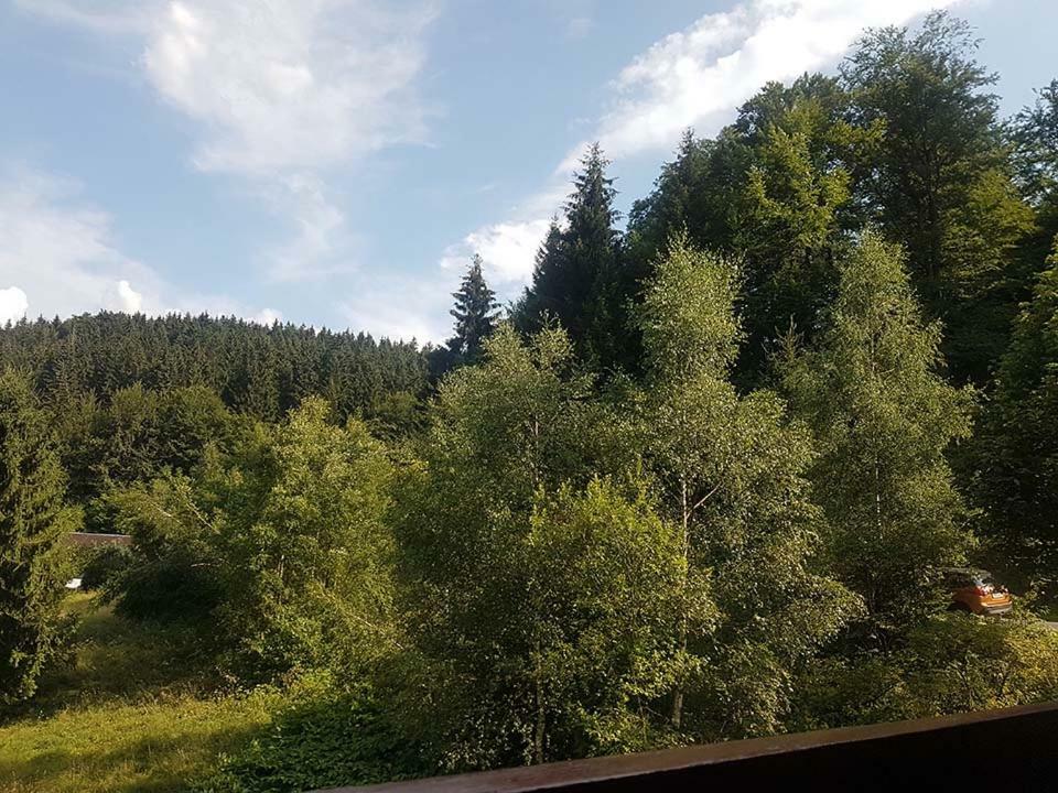 Monteurwohnung Aroba Fehrenbach ภายนอก รูปภาพ