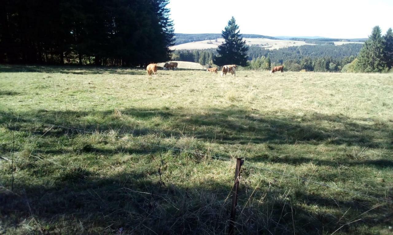 Monteurwohnung Aroba Fehrenbach ภายนอก รูปภาพ